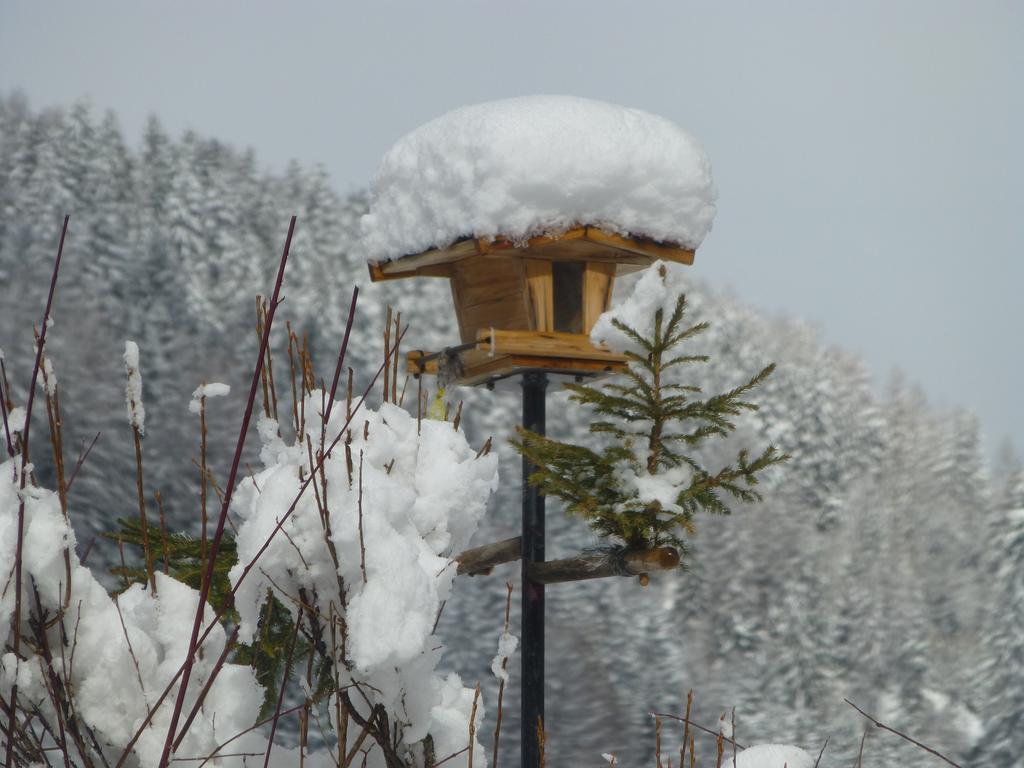 Guesthouse Mountain View Grosskirchheim Bagian luar foto